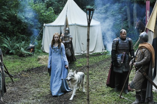 Sansa med ulv