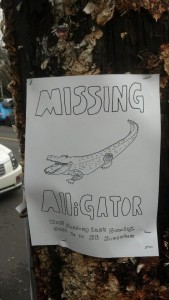 missing-alligator