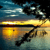 Gabriola Sands Provincial Park  – Gabriola Island, BC, Canada