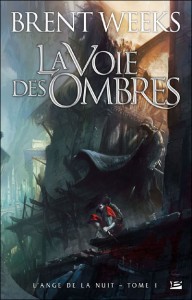 The Way of Shadows by Brent Weeks (French Edition)