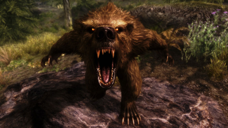 A Bear from Skyrim